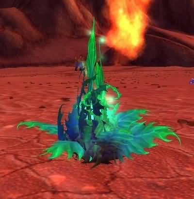 佛罗伦娜的艾泽拉斯草药学笔记 外域篇:魔草