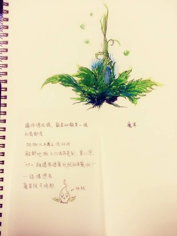 佛罗伦娜的艾泽拉斯草药学笔记 外域篇:魔草