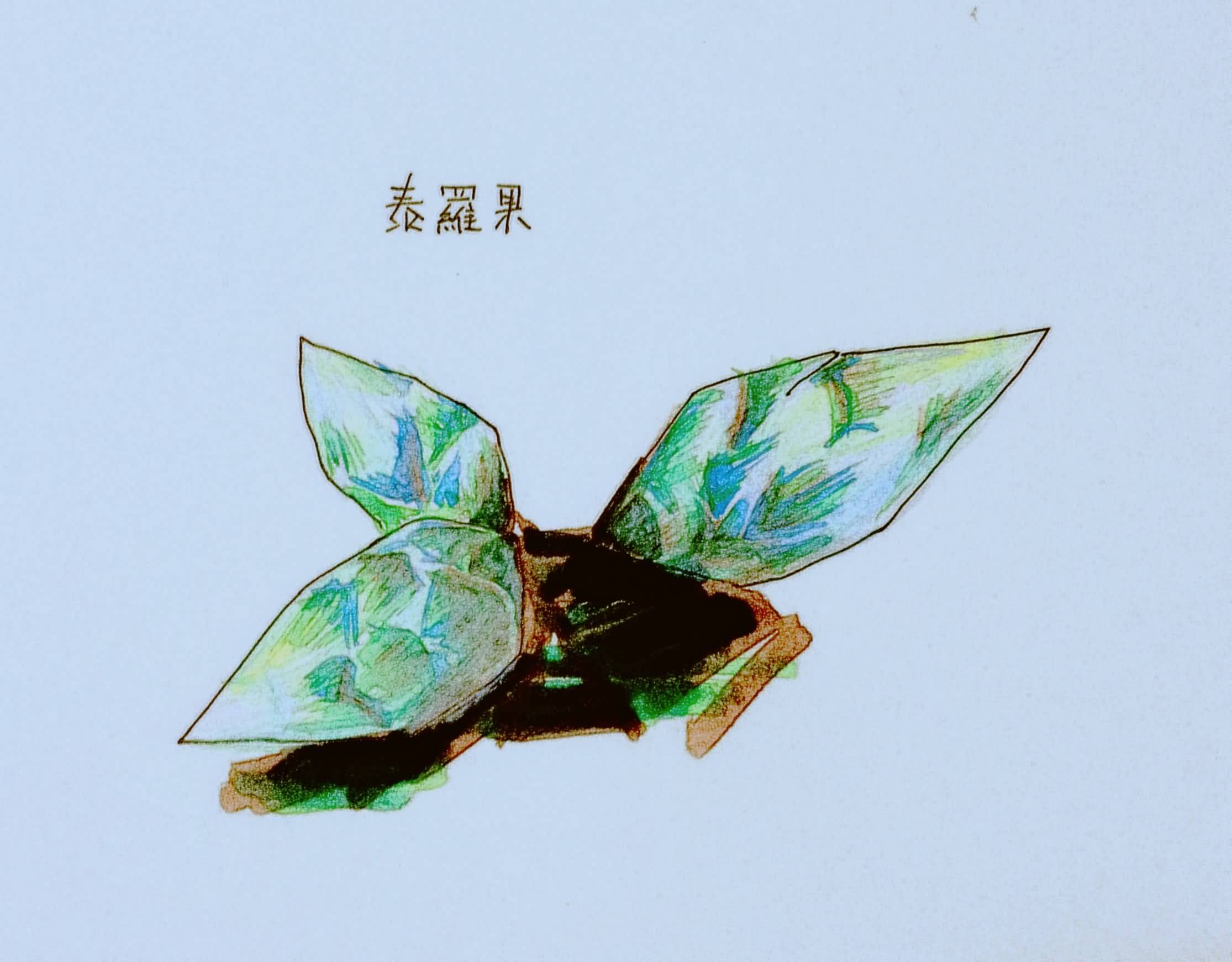 佛罗伦娜的艾泽拉斯草药学笔记外域篇之泰罗果