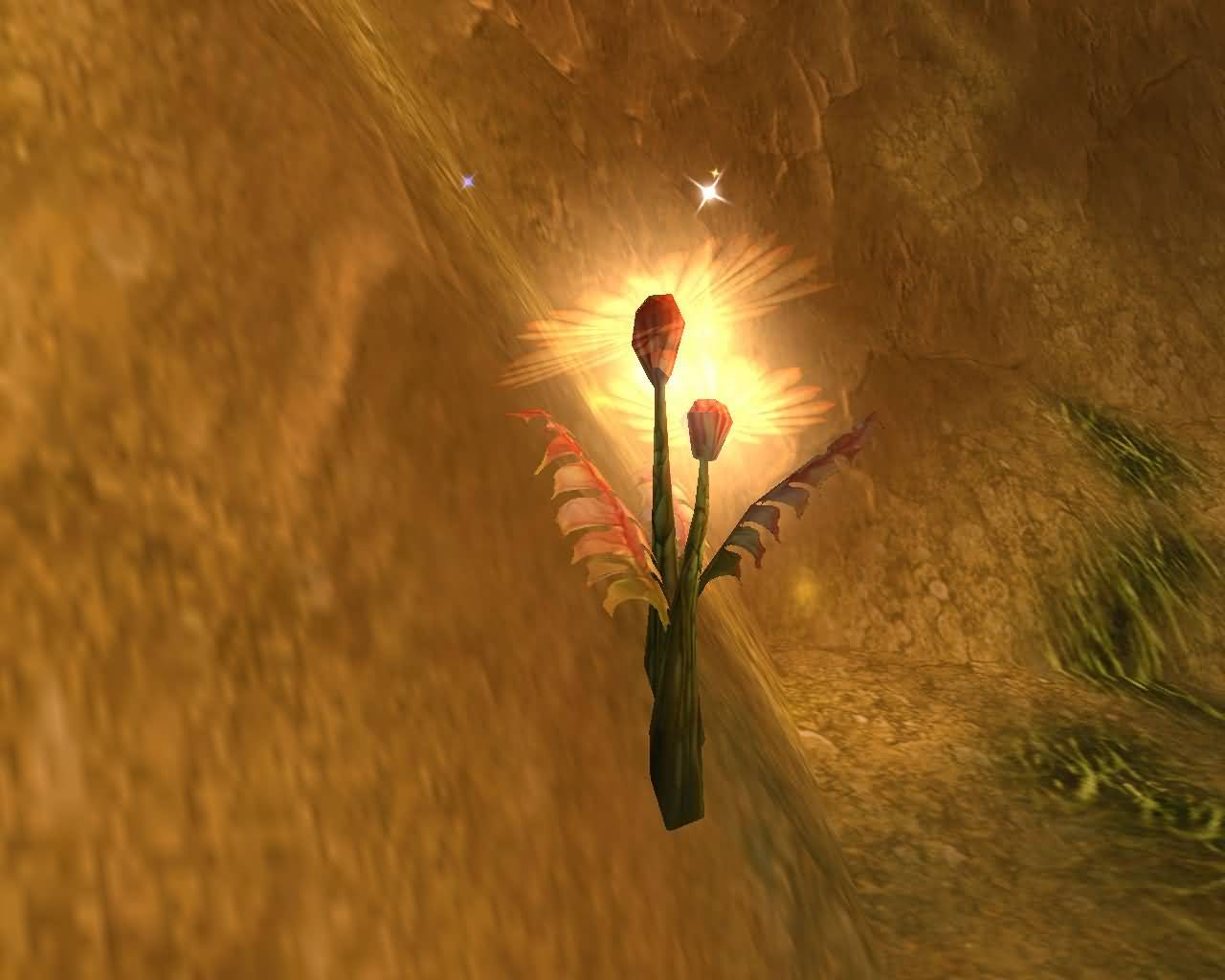 佛罗伦娜的艾泽拉斯草药学笔记外域篇之梦露花