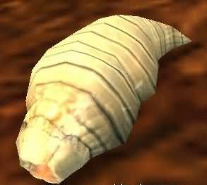 玩家细数魔兽世界中最恐怖的22种生物，螃蟹第一