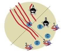 [暗牧5.4PVE]25H决战奥格瑞玛攻略及暗牧心得1-13视频视角