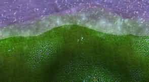 幻化，布甲和背景融为一体