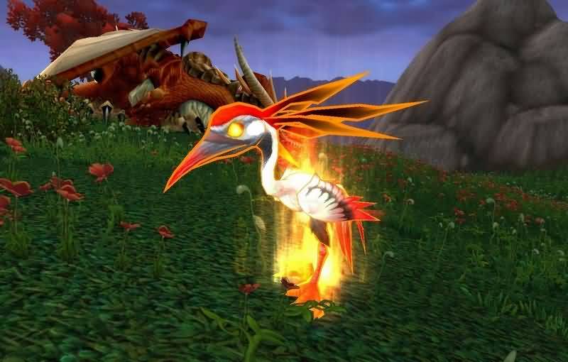 宠物对战5.4WOW:希望之星、赤芝、赤精的雏鸟