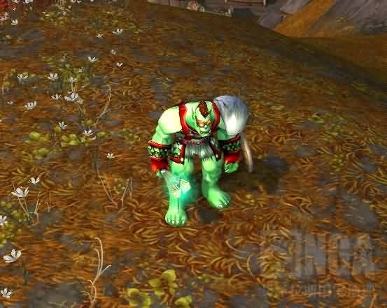 5.4WOW兽人萨满幻化:野生绿巨人