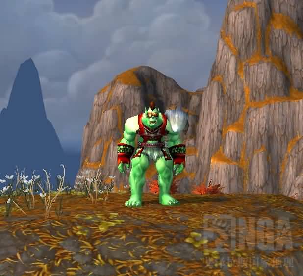 5.4WOW兽人萨满幻化:野生绿巨人