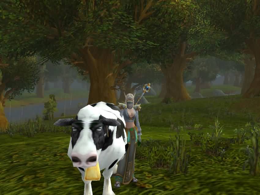 姐姐妹妹游联盟,魔兽5.4同款不同色布甲幻化