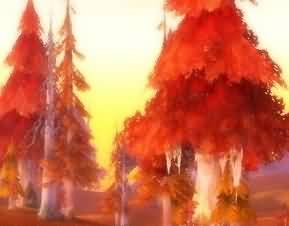 绘画:我爱的那片土地---卡利姆多