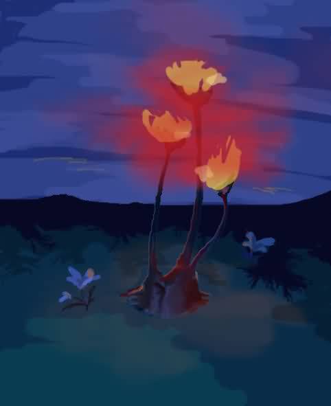 佛罗伦娜的艾泽拉斯草药学笔记--外域篇:烈焰菇