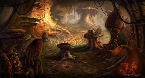 关于h13号操纵者小虫子几个问题的解答