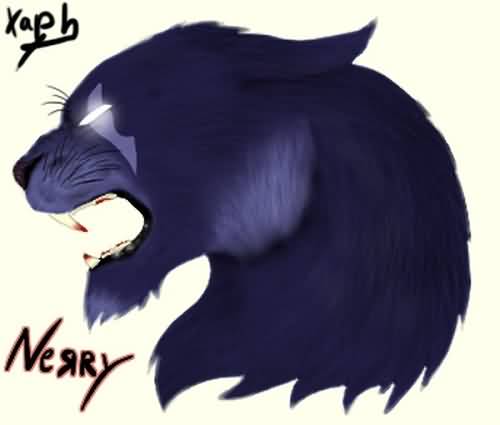 5.4德鲁伊PVP:猫德香炉党经验交流