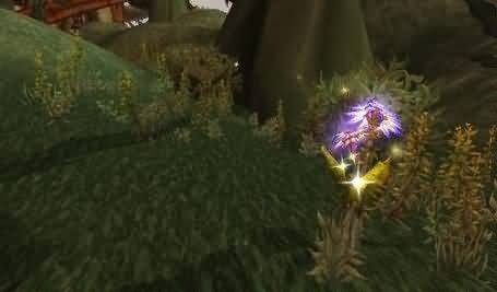 佛罗伦娜的艾泽拉斯草药学笔记——外域篇：法力蓟