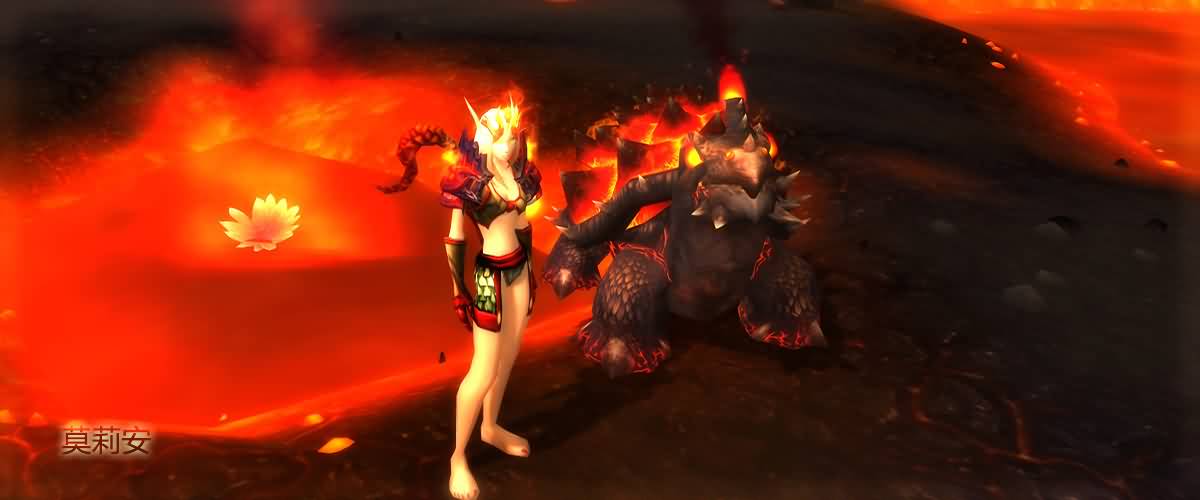 锁甲猎人唯美幻化：与宠物的色彩搭配