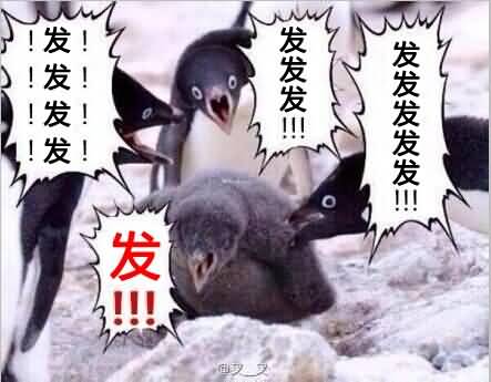 蠢萌少年的wow回忆录!那边的少年~