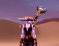 咖啡色清新性感的布甲通用幻化：西域游侠