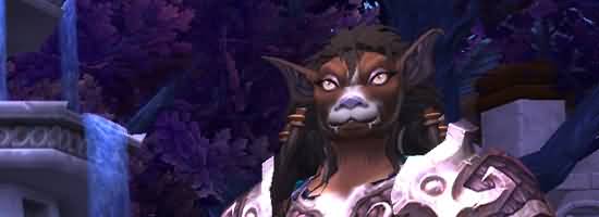 德拉诺要塞系统前瞻(三):你准备呼叫谁?