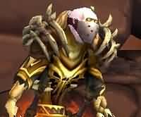 盗贼皮甲幻化：亡灵男帅气来袭