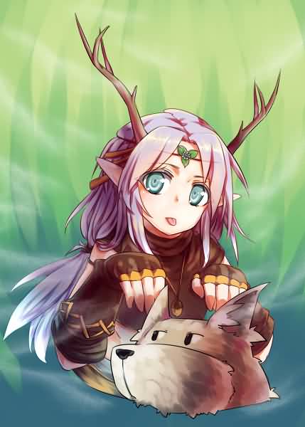 德鲁伊随机月火宏分享