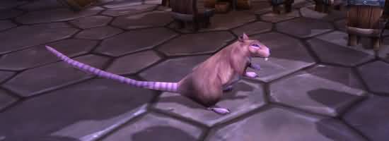 主宰动物园:魔兽宠物对战的特别玩法