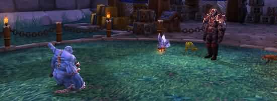 主宰动物园:魔兽宠物对战的特别玩法