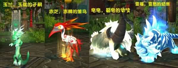 6.1宠物对战:用非交易宠物打永恒岛天神大赛