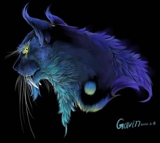 [德鲁伊]德拉诺之王野德6.1PVE攻略