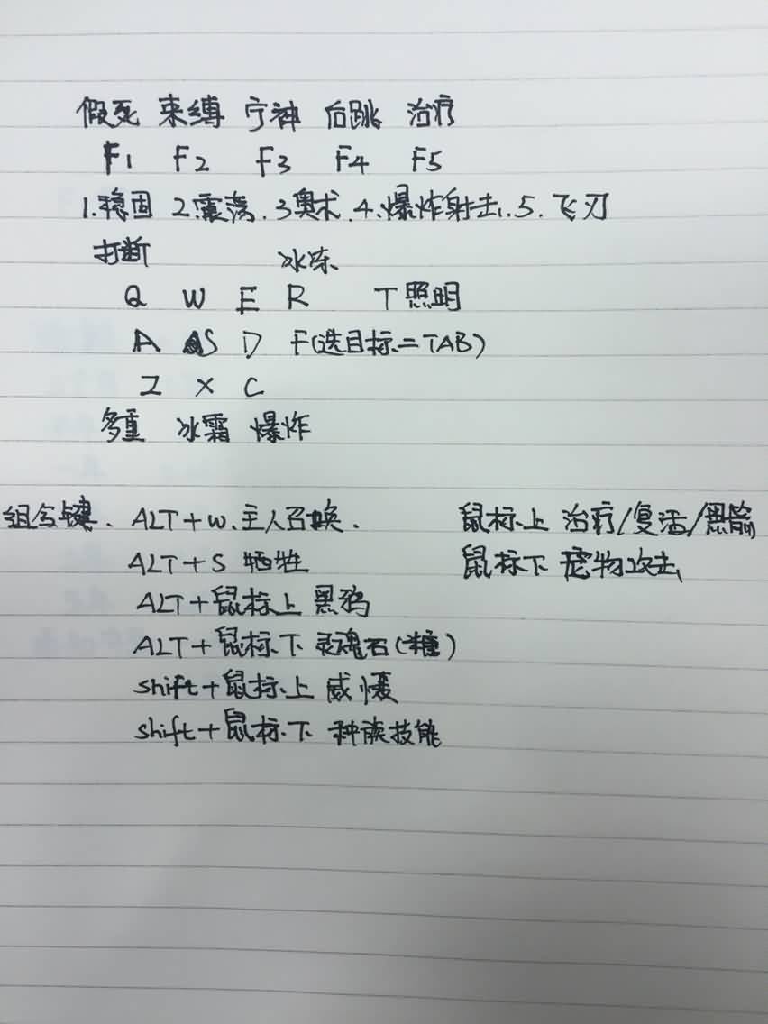 包罗万象 应有尽有 多年魔兽键位分享