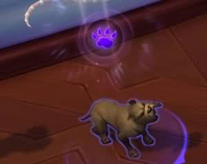 7.0战斗宠物:将可用道具升级到史诗品质